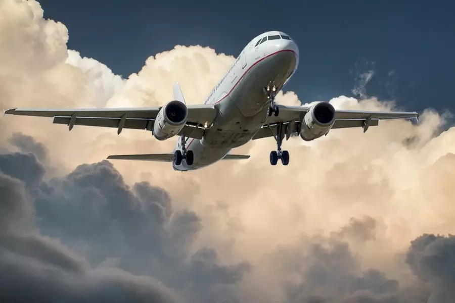 Delta airline flight using Delta Sky miles
