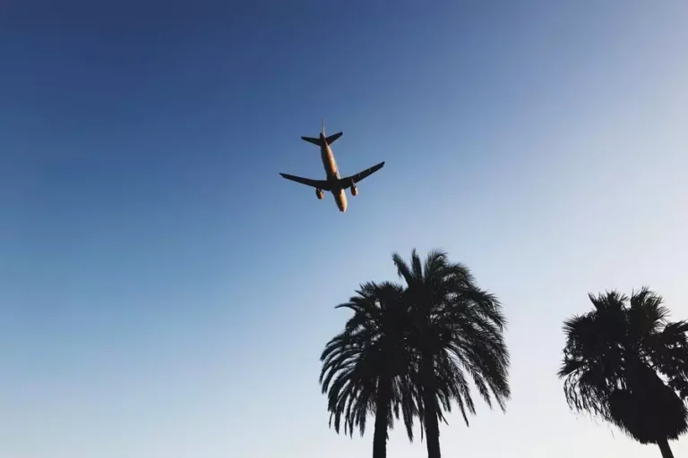 Can You Bring Your Own Alcohol on a Plane?