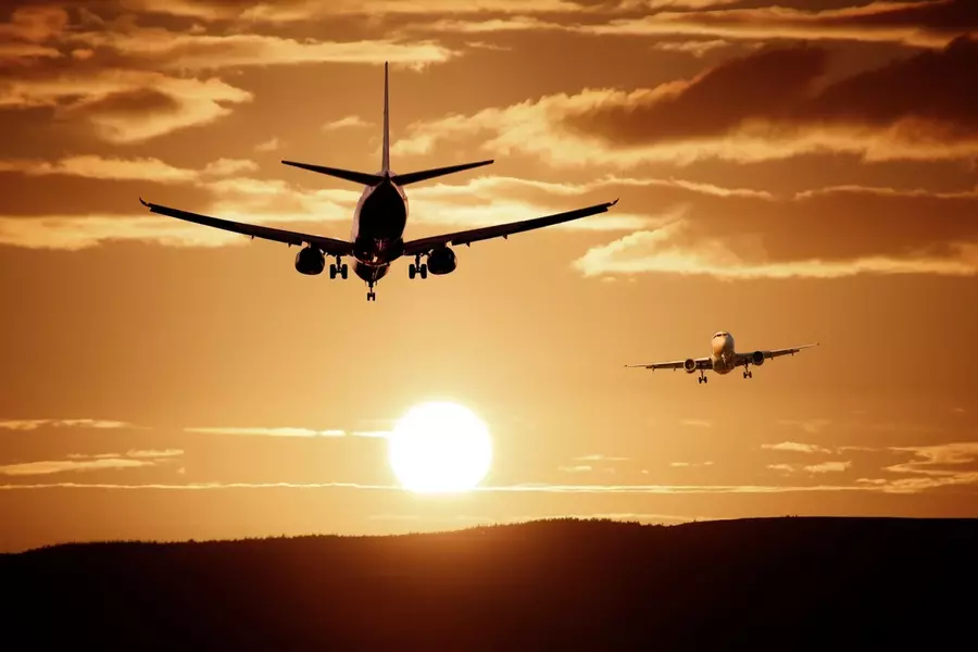 Allegiant Airlines Pet Policy