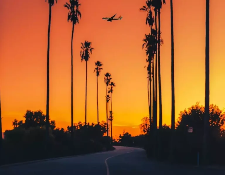 How to Cancel Flight with Spirit Airlines