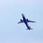 How to find cancelled southwest flights?
