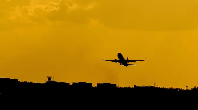 How can I check in for my Delta Airlines Flight?
