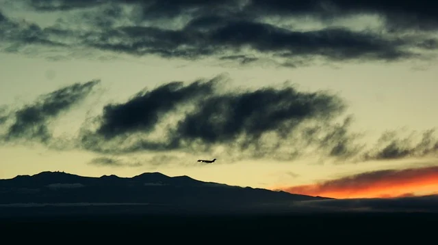 Southwest Airlines Manage Booking