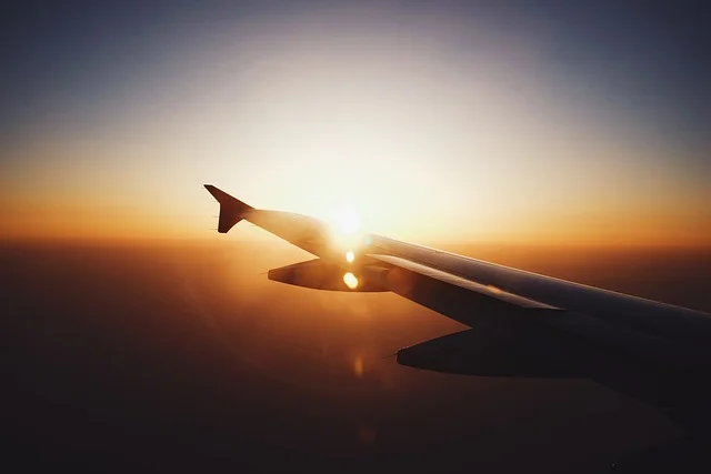 How do I Talk to a Live Person at Air New Zealand?