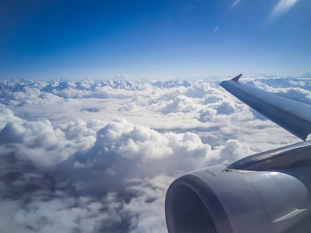 How Do I Speak to a Live Person at Hawaiian Airlines?