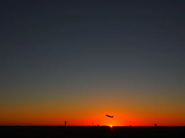 Delta Airlines Mexico City