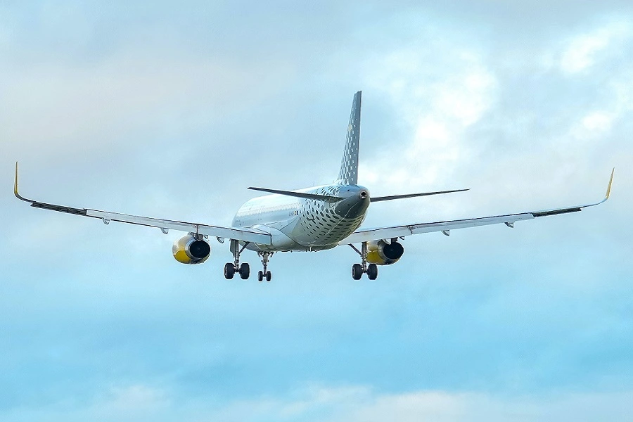 What happens if you check in online but miss your flight