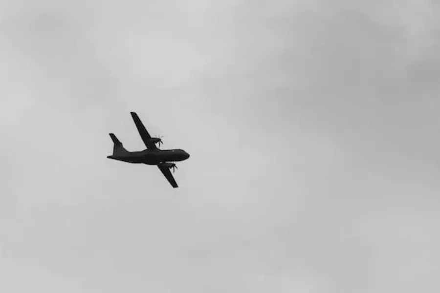 How to Check Flight Status for Southwest Airlines?