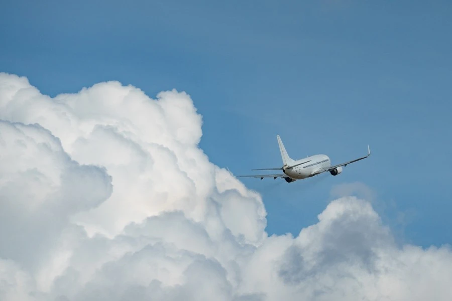 How can I change my flight on Expedia?